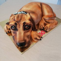 Ridgeback